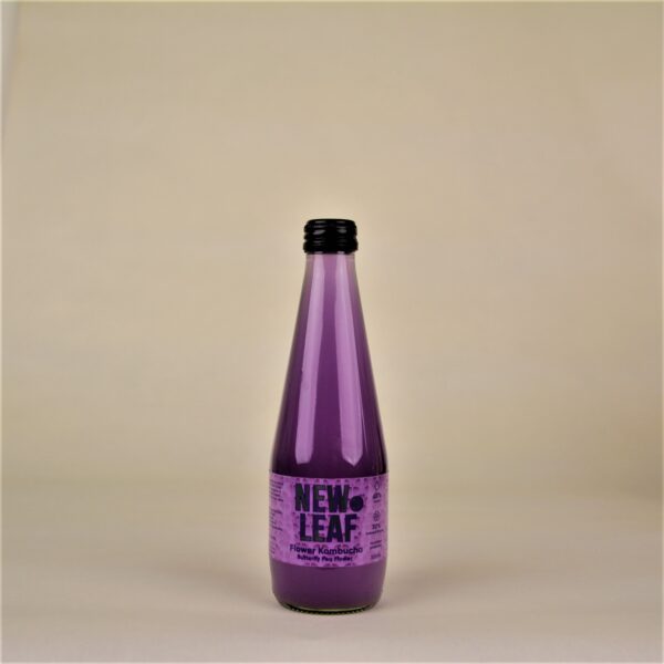 Butterfly Pea Flower Kombucha